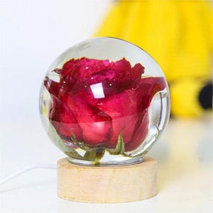 Preserved True Red Rose Resin Ornament - Elegant Handcrafted Home Decor, Art Ornaments for Room Decor, Gift For Family, Lovers Birthday